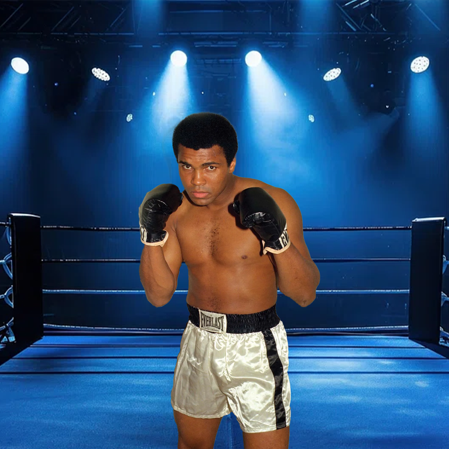 Boxer
